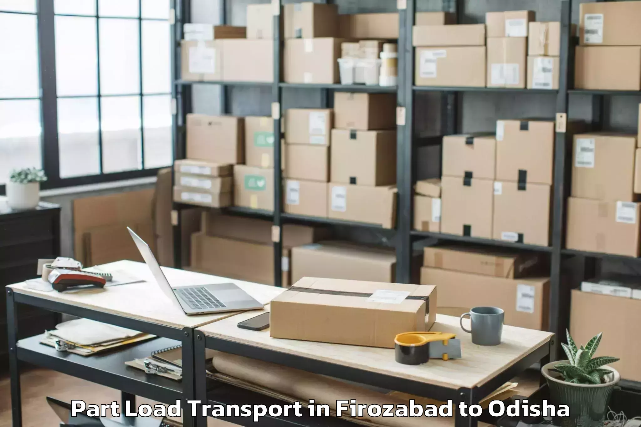 Expert Firozabad to Chandaka Part Load Transport